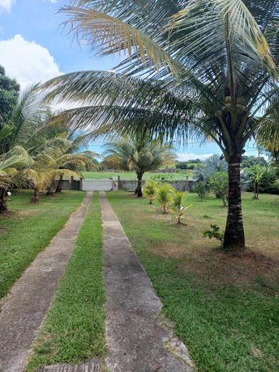 Ti Bijou Villa Baie-Mahault Ngoại thất bức ảnh